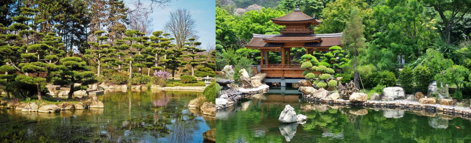 création jardins japonais